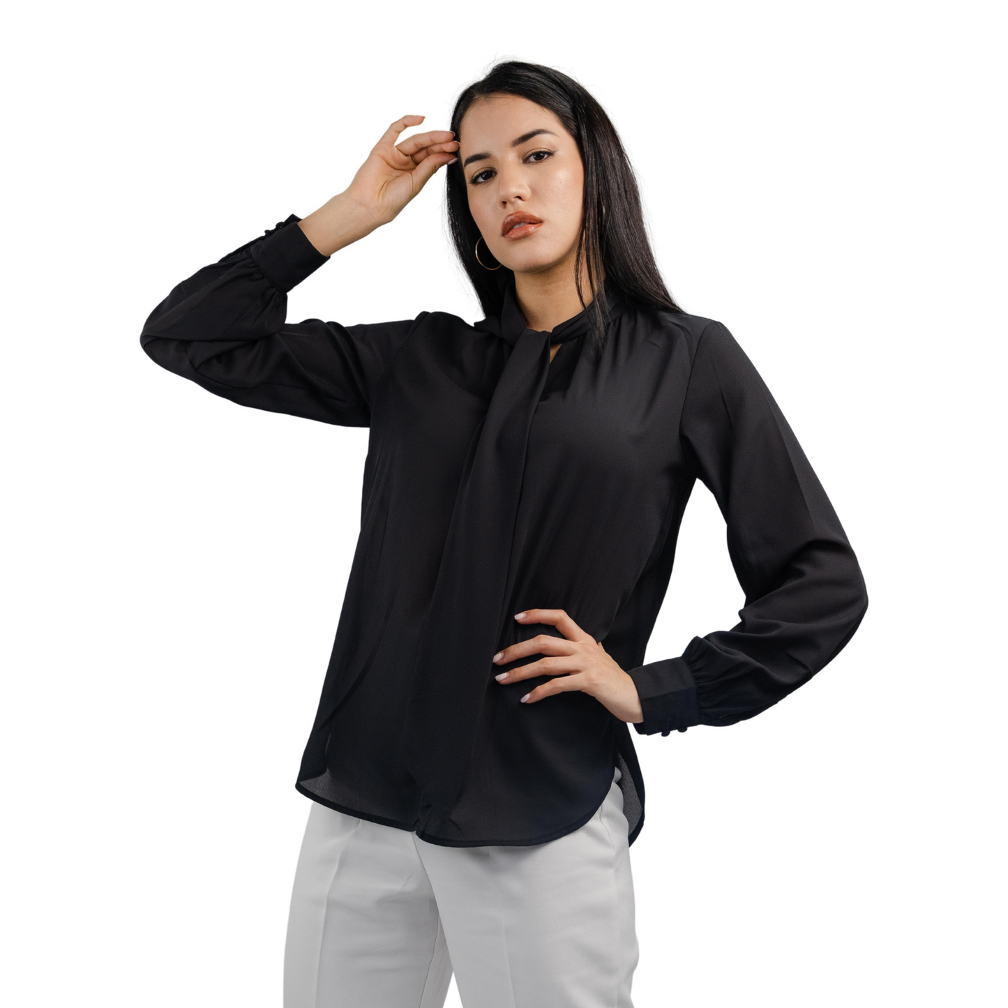 Women's Elegant Bow Tied Long Sleeve Blouses for Business Casual